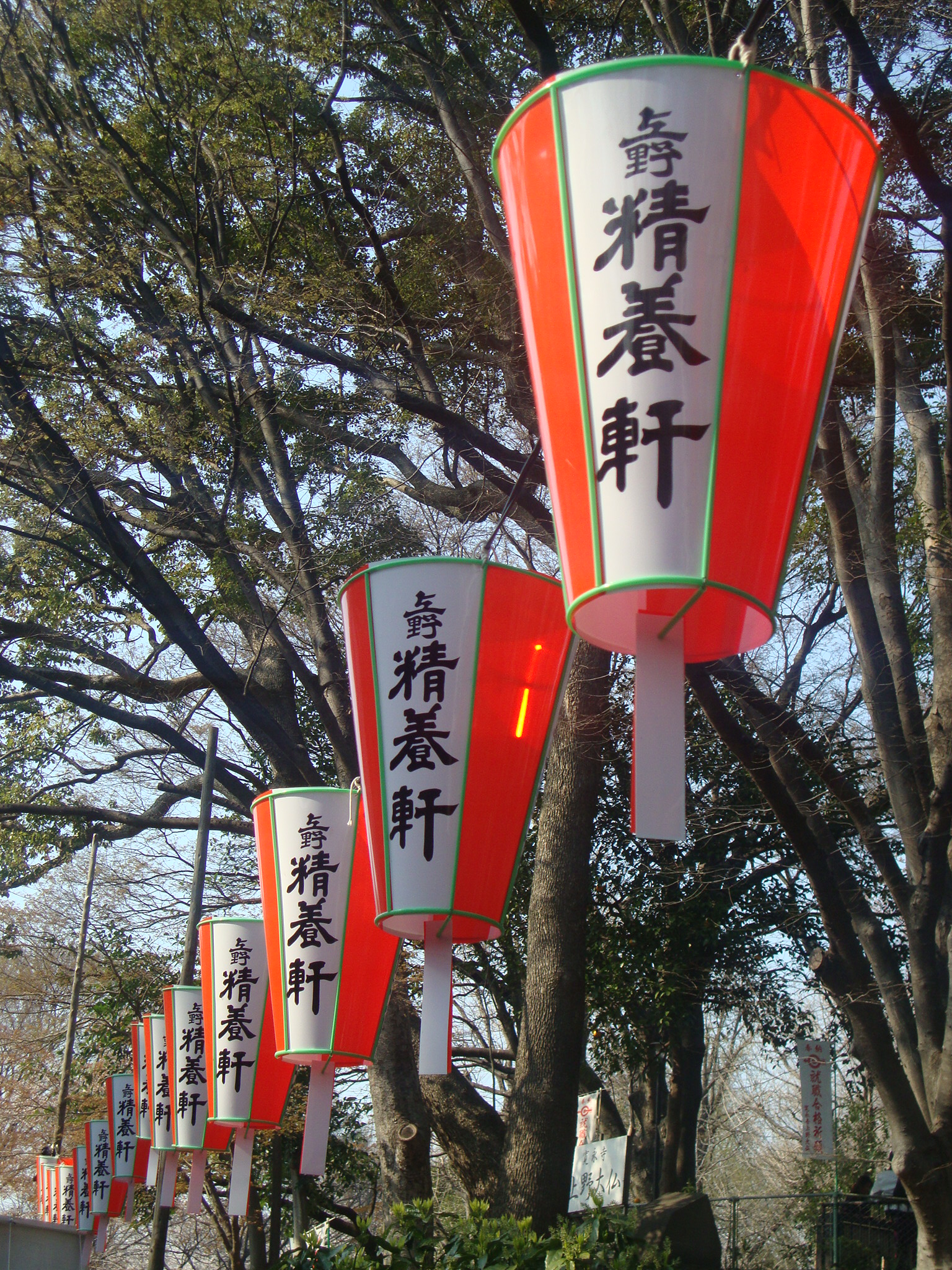 Tokyo faroles